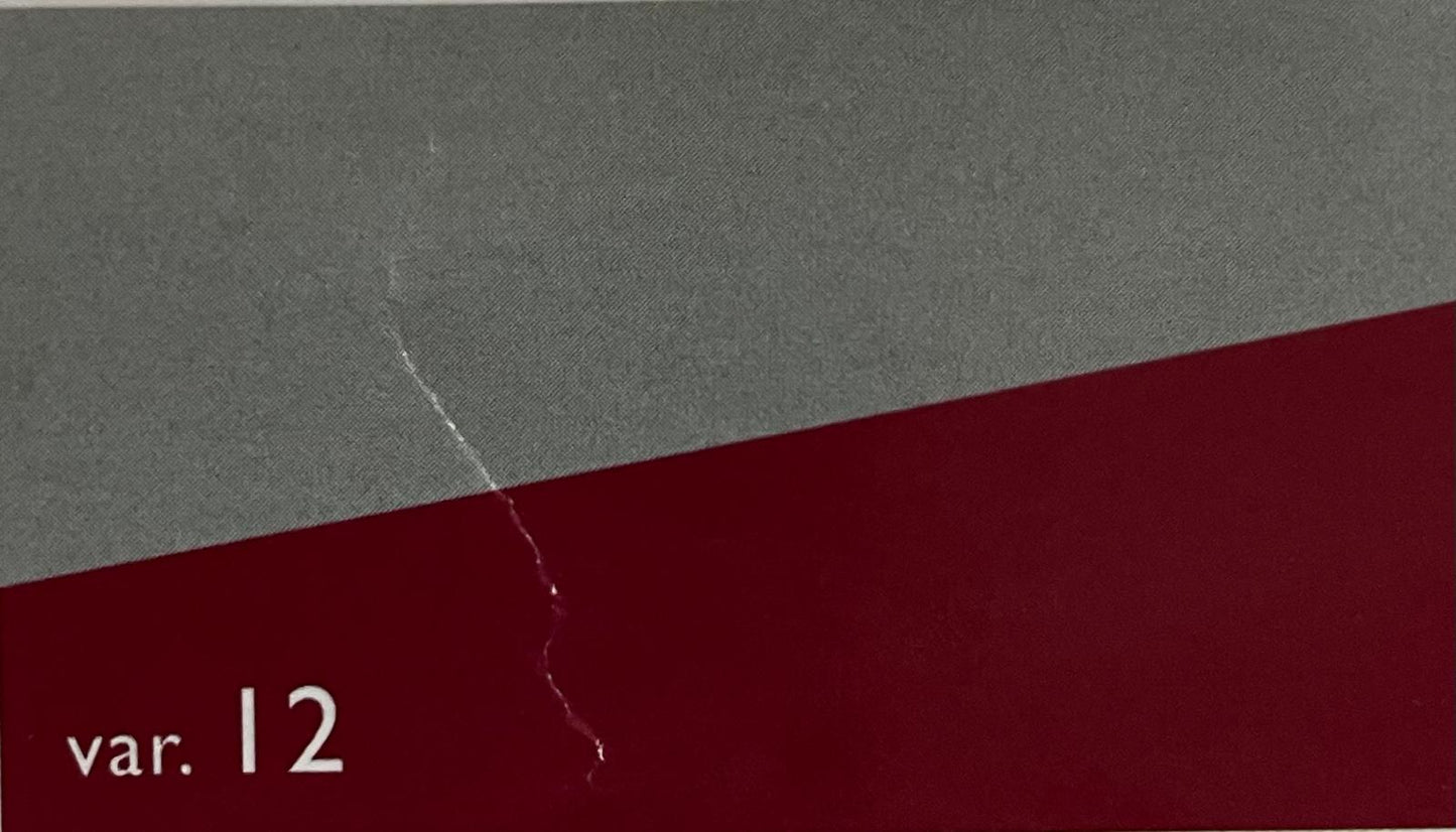 Trapunta FERRARI MATRIMONIALE in tessuto di Microfibra DOUBLE-FACE  mod. CLIO TINTA UNITA